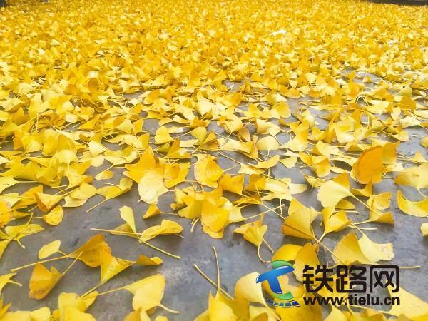 �M�ؽ��S(<a href=http://ehuashu.com/zhongtiewuhandianqihuaju/ target=_blank class=infotextkey>���F��h늚⻯��</a>���F���޹�˾�V�ݷֹ�˾�����z).jpg