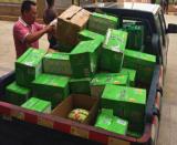 ��ϵ���������Fʮ�˾ּ��F(tu��n)�dȪ�F·�(xi��ng)Ŀ���_չ2017��