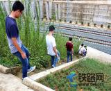 �Ϻ��F·�֌�ʮһ�ֺ��S�Ŀ�ܶι����_չ(li��n)�Ϲ���(w��)�z