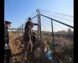 �̶��������ؾ��_չ��·�[���Ų鼰��·�o(h��)·��������