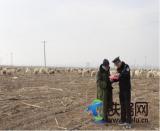 �S�t܇վ�ɳ�������e��ӏ��ΰ��ܿش_�����\��β��