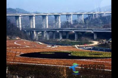 楂??舵ˉ涓?緇??版??></a></div>
								<div   id=