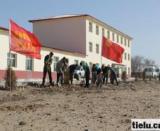 <strong>渾善達(dá)克沙地深處添“新綠”</strong>