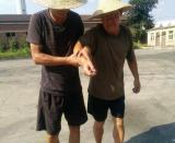 <strong>������˾�_չ���(y��ng)���ݾ�</strong>