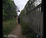 ͬ����(zh��n)�ф��׏�(qi��ng)